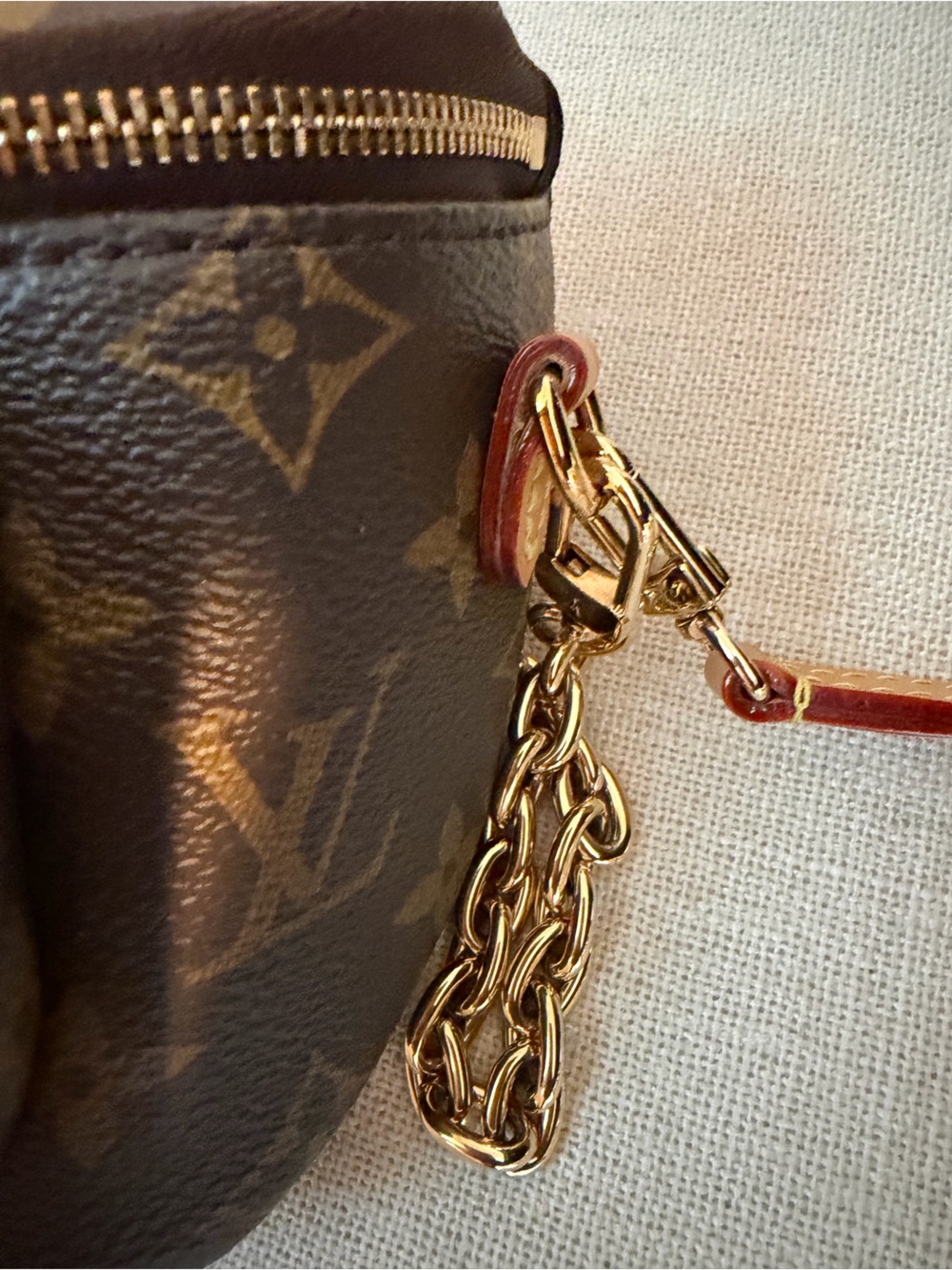 Louis Vuitton Monogram Mini Bag - Brown & Tan - Picture 6 of 13